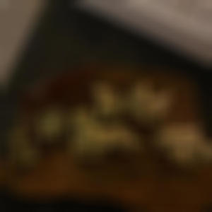 Fuk up yo city (feat. Jymeelsob) (Explicit)