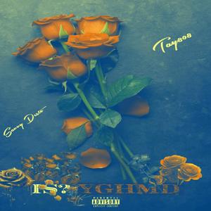 IS You Gone Hold Me Down (feat. Savvy Desto) (Explicit)