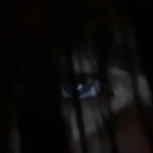 COME BAKK (snippet) (Explicit)