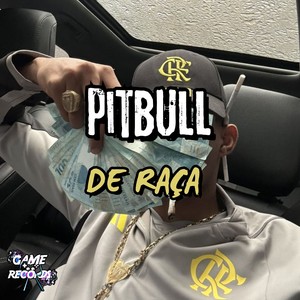 Pitbull de Raça (Explicit)