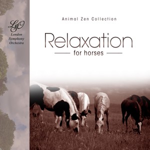 Relaxation for Horses