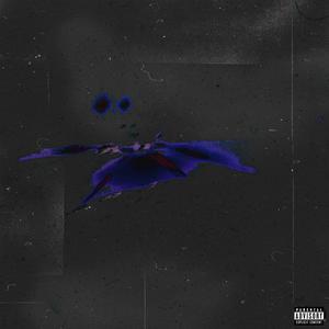 SE K TE VAZ (Explicit)