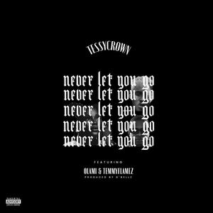 Never let you go (feat. Olami & TemmyFlamez)