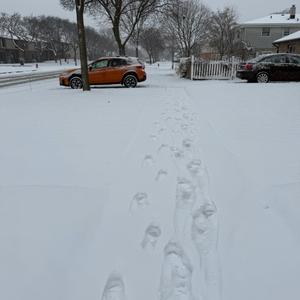 Jumpout (feat. Kainx) (Explicit)