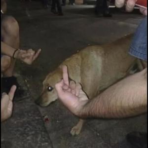 put em dwn (Explicit)