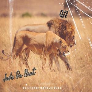 Welcome To The Jungle (feat. Q11) (Explicit)