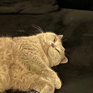 Gravee - allyouwere (Explicit)