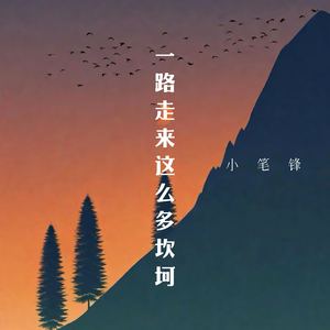 一路走来这么多坎坷