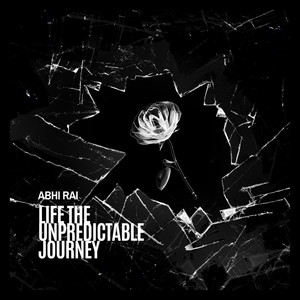 Life the Unpredictable Journey