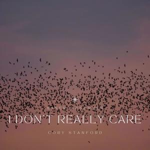 I Don't Really Care (feat. Cory Stanford) [Explicit]