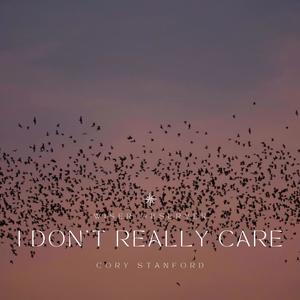 I Don't Really Care (feat. Cory Stanford) (Explicit)