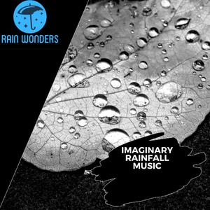 Imaginary Rainfall Music