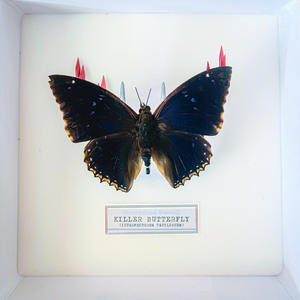 Culture Vulture (feat. Sir JEAN & Dr Seb)