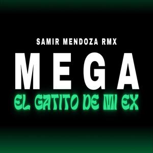 Mega El Gatito De Mi Ex