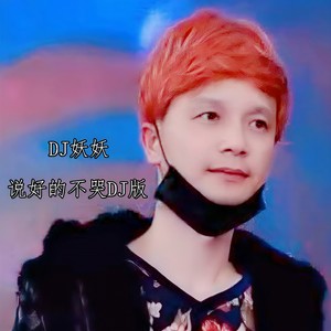 说好的不哭 (DJ版)