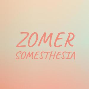 Zomer Somesthesia