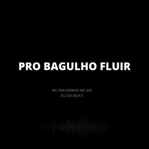 Pro Bagulho Fluir (Explicit)