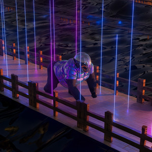 FREESTYLE DO MACACO (Explicit)