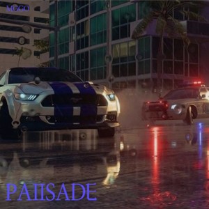 PAIISADE