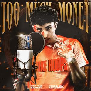 Too Much Money (Explicit)