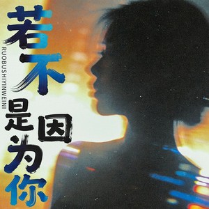 若不是因为你 (国语) - 不知名人物、红日7iv封面