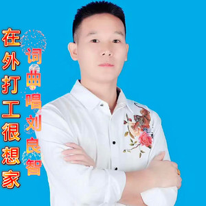 在外打工很想家 (DJ版)