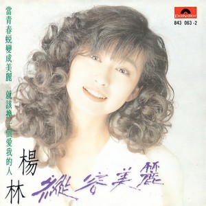 杨林 - 把梦藏好