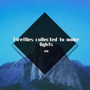 Fireflies collected to make lights
