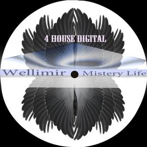 Mistery Life (Original Mix)