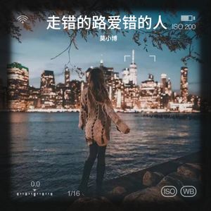 走错的路爱错的人