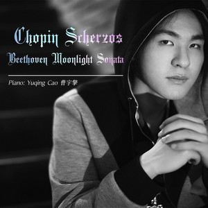 Prelude, Op.28 - No.24 in D minor