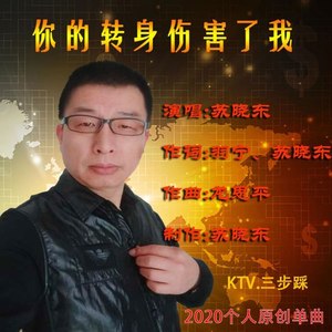 你的转身伤害了我 (伴奏)