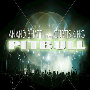 Pitbull (DJ Instrumental) (Karaoke Mix)