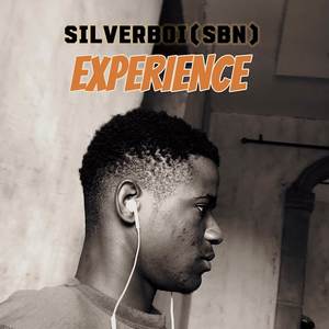 Experience (Explicit)