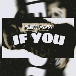 MEGA IF YOU (Explicit)