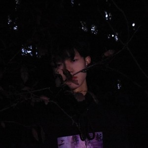 没有冬天1.0