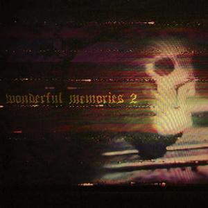 Wonderful Memories 2 (Explicit)