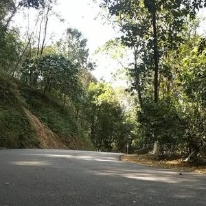 我的唇吻不到我爱的人 (Single Version)