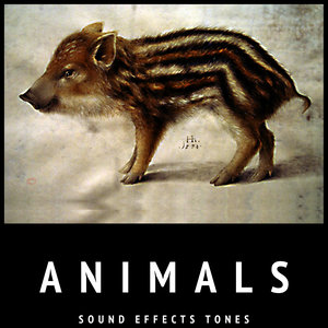 Animals Sound Effects Tones