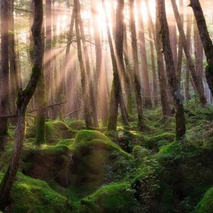 Thoughts (Original Mix)