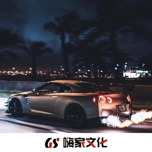 我的心被你点燃了