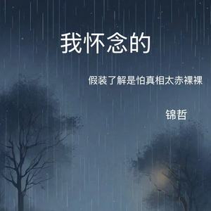 我怀念的 (假装了解是怕真相太赤裸裸)