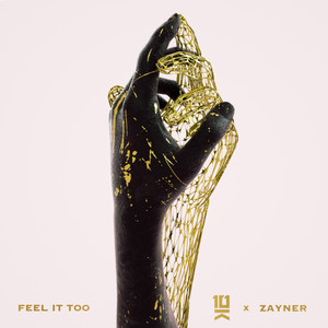 Feel It Too (feat. ZAYNER)