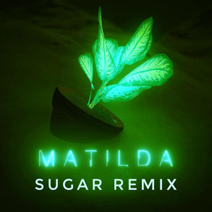 余佳运-Matilda (Sugar remix)