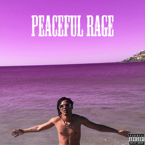No Trouble (Explicit)