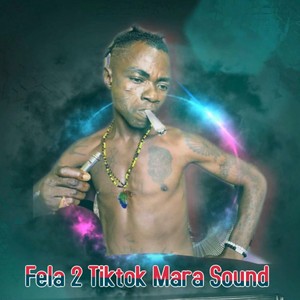 Fela 2 Tray Dc Mash Up