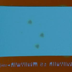 *** (feat. lowk3y & WoodOxha) (Explicit)