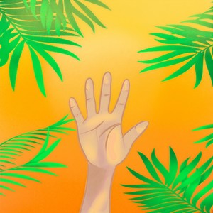 Jk Beatbook - Palms