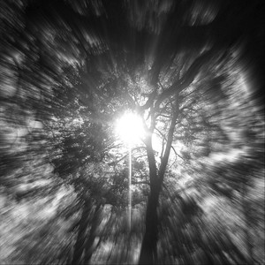 Sinfonía de los Sueños Posibles