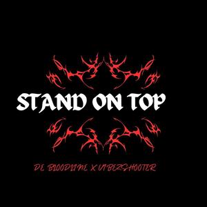 Stand on top (feat. Vibezshooter) [Explicit]